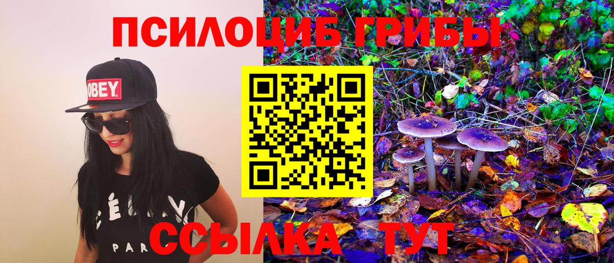 Псилоцибиновые грибы Psilocybine cubensis Новозыбков