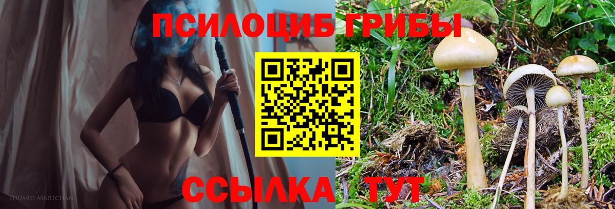 Псилоцибиновые грибы Psilocybine cubensis  Вход с VPN  продажа наркотиков  Новозыбков 